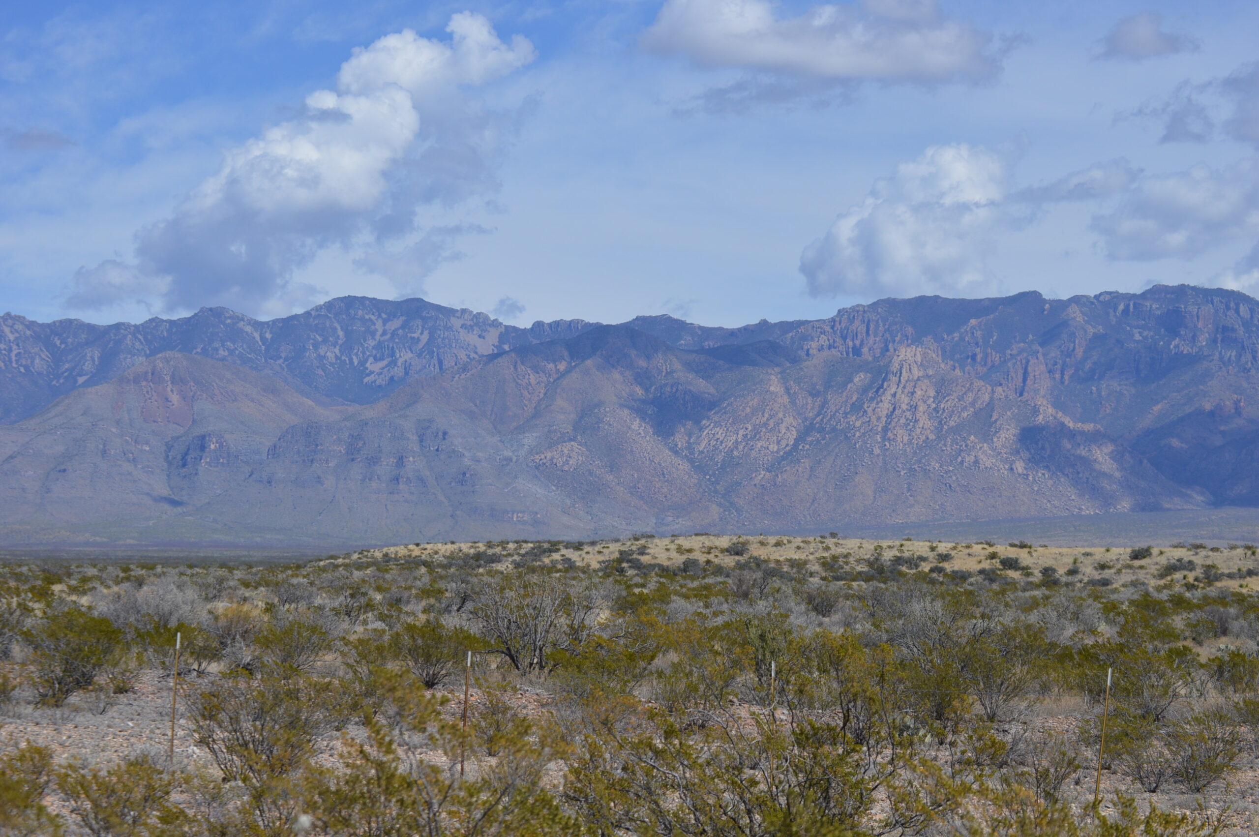 GUIDED TOURS TO BOQUILLAS, MEXICO